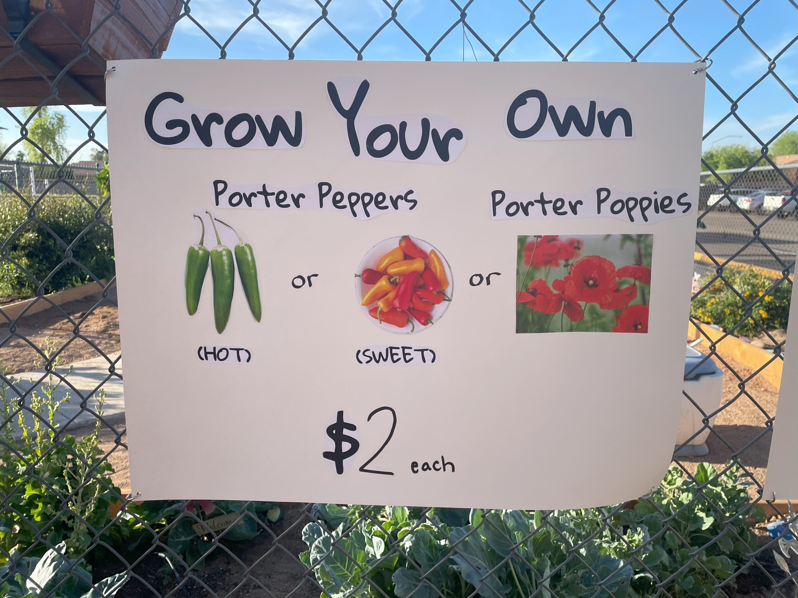 Porter farmers market 4 4.21.23